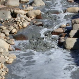 R�o de La Ribera - cuando recibe efluentes de ingenios