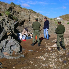 Campa�a semestral-Febrero 2008