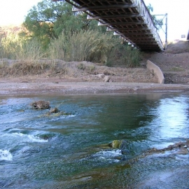 Campa�a semestral-Agosto 2007